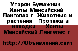 Утерян Бумажник - Ханты-Мансийский, Лангепас г. Животные и растения » Пропажи и находки   . Ханты-Мансийский,Лангепас г.